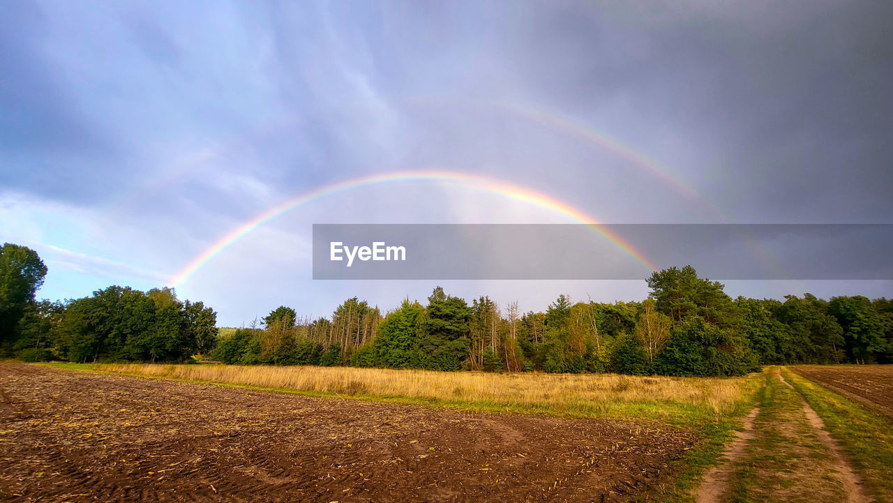 scenic view of rainbow over field against sky