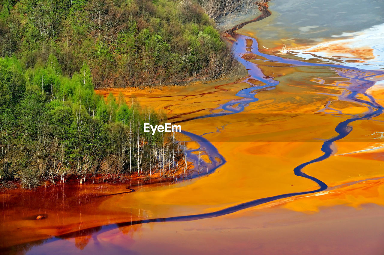 High angle view of polluted water by trees at forest