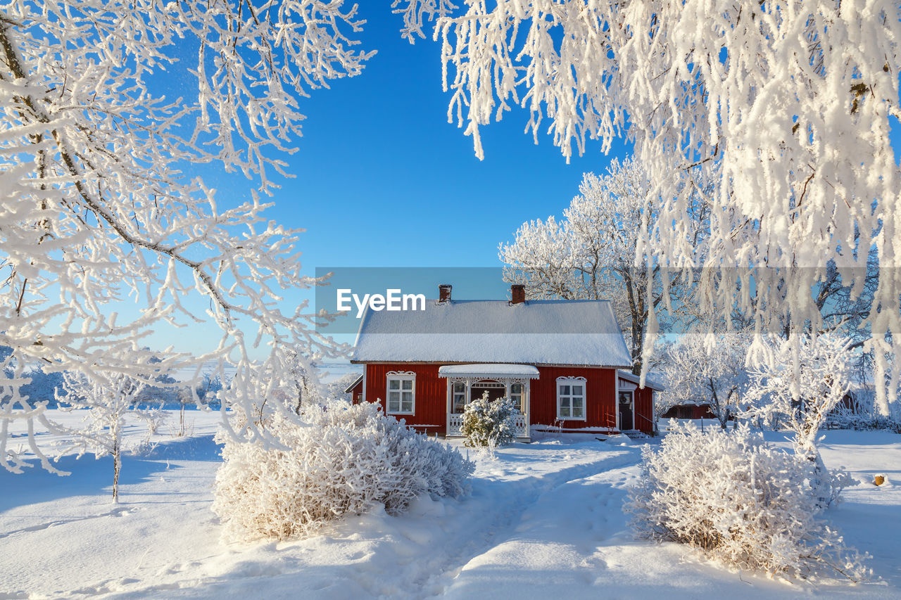 Red cottage in a beautiful cold winter landscape