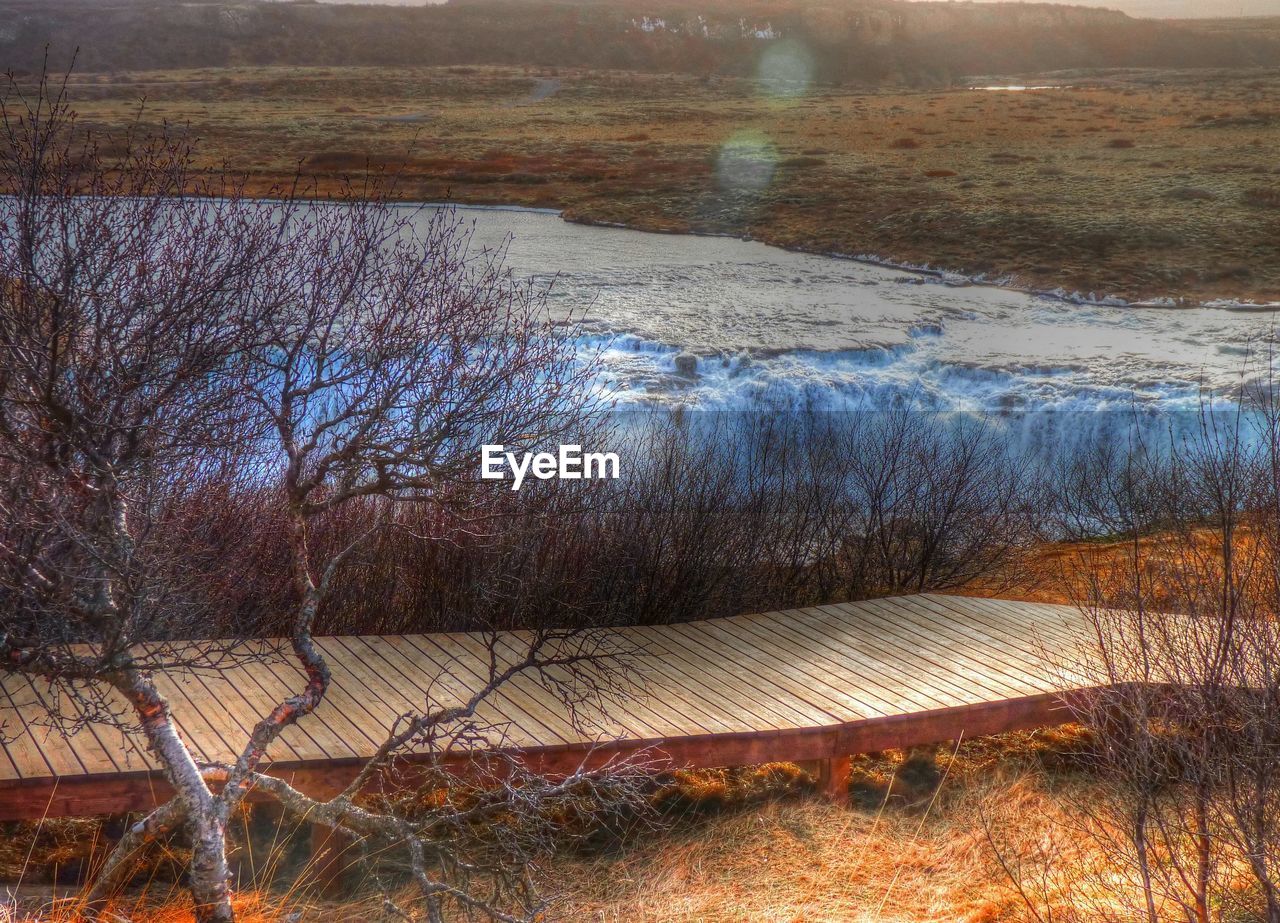 High angle view of boardwalk and bare trees on field