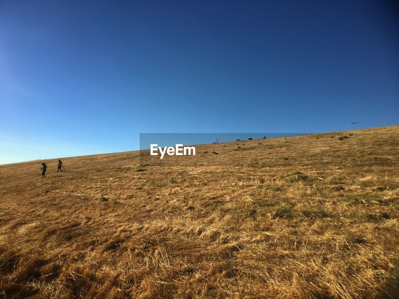 View of landscape against clear sky during sunny day