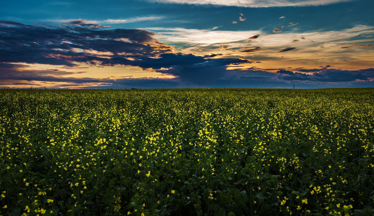 Scenic view of field against dramatic sky