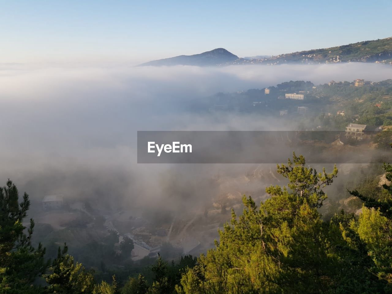 SCENIC VIEW OF TREES AGAINST SKY