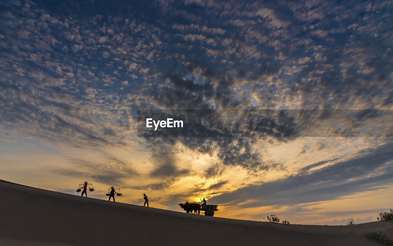 Silhouette people and animal on land against sky during sunset