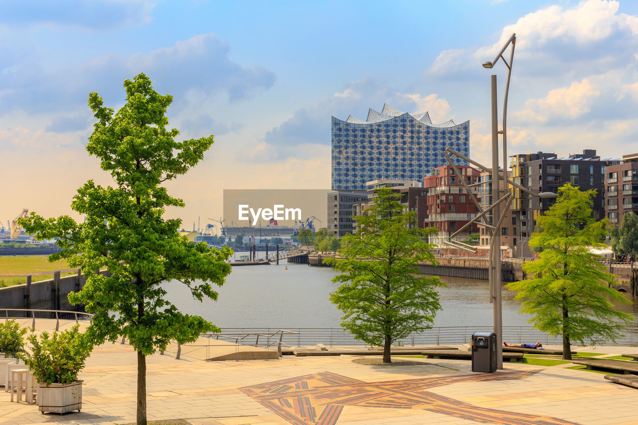 Trees by buildings against sky in city at elbphilharmonie hamburg