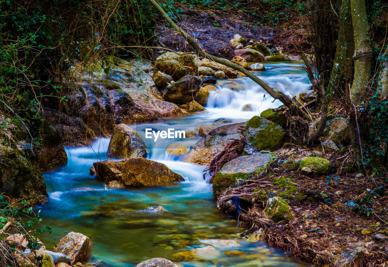 Stream flowing through rocks in forest