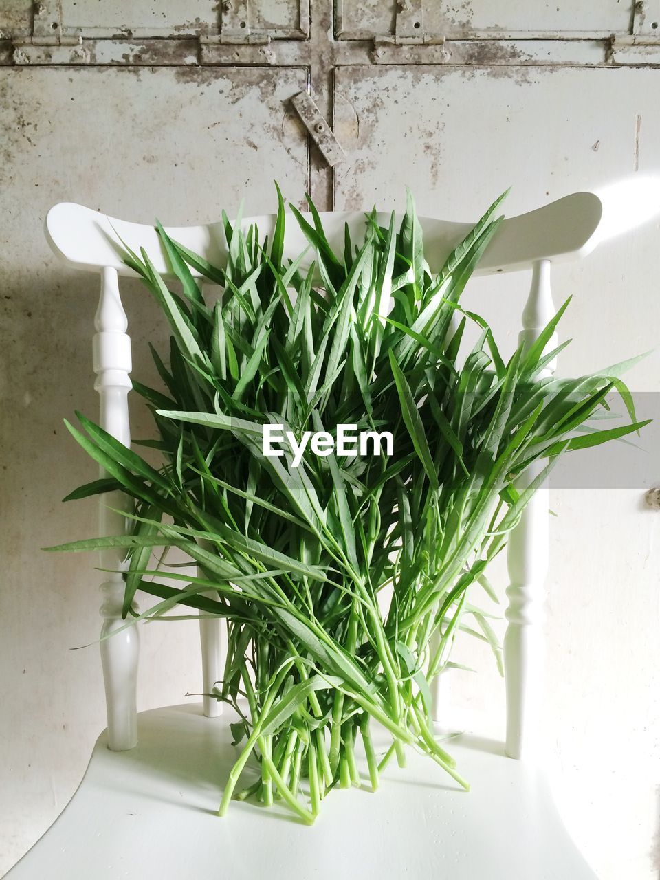 Close-up of grasses on table