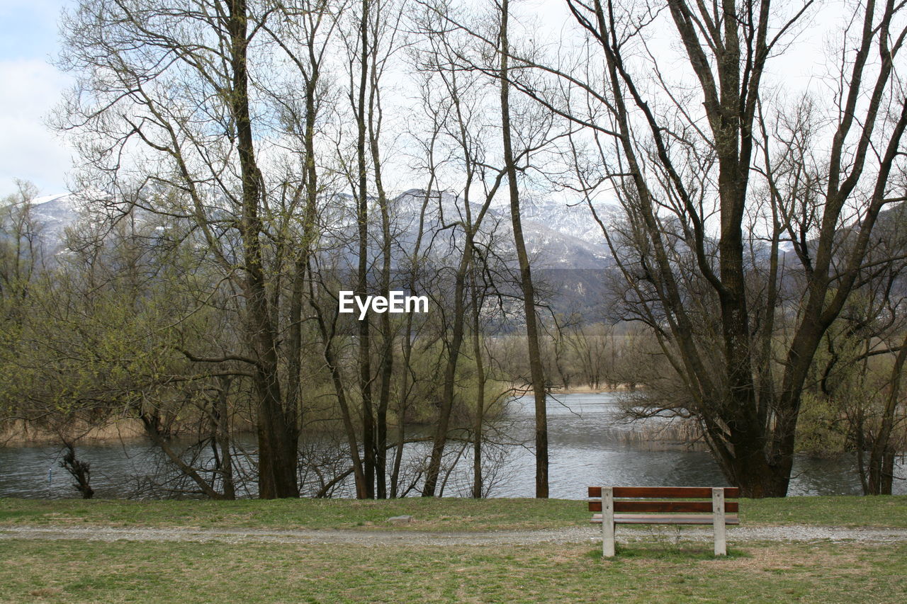 Empty bench by bare trees on field