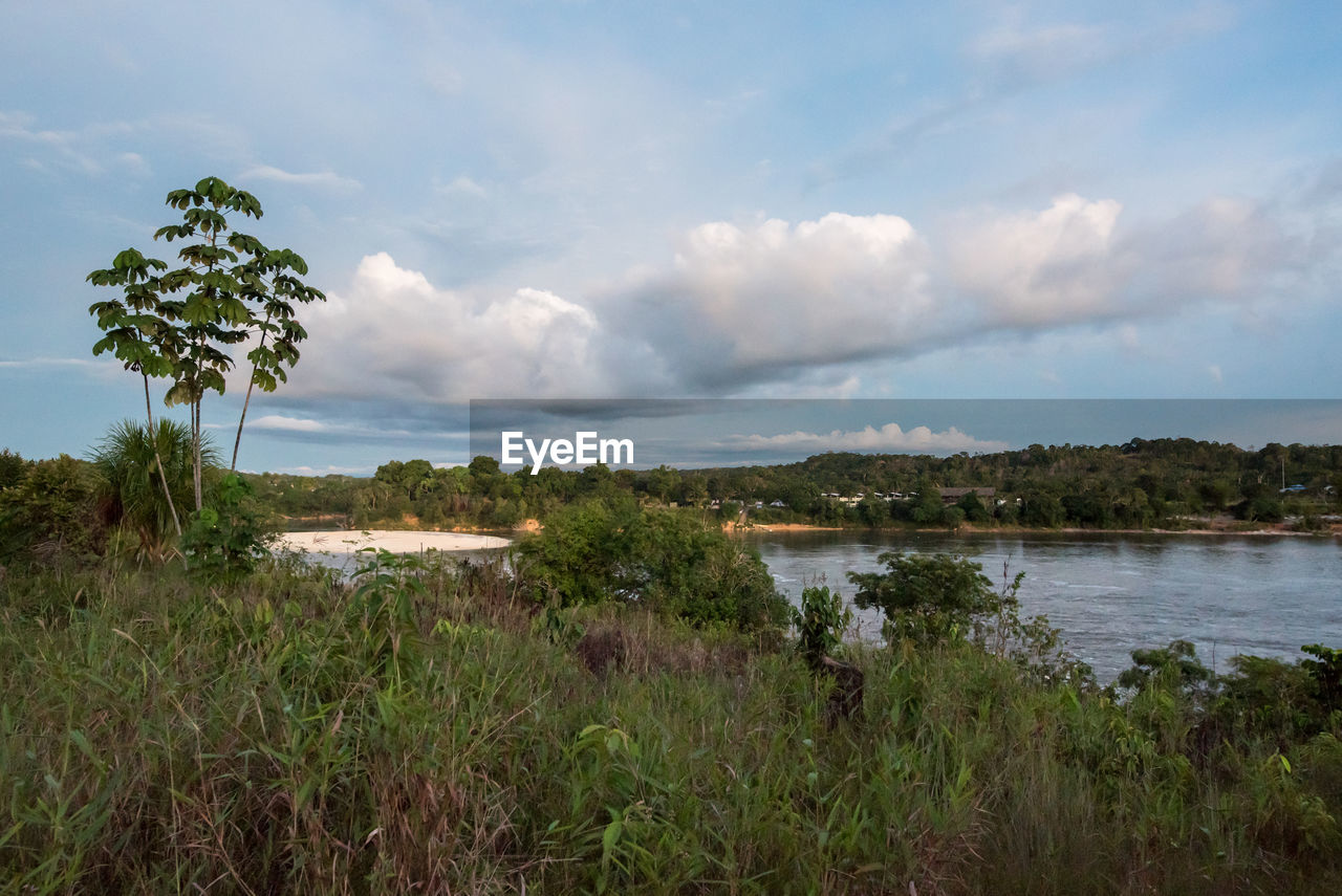 water, sky, cloud, plant, nature, environment, shore, landscape, land, sea, coast, beauty in nature, scenics - nature, grass, beach, natural environment, travel destinations, travel, tree, no people, wetland, tourism, horizon, tranquility, outdoors, reflection, body of water, trip, rural area, vacation, wilderness, day, holiday, hill, coastline, marsh, tranquil scene, non-urban scene, reservoir, social issues, tropical climate, architecture