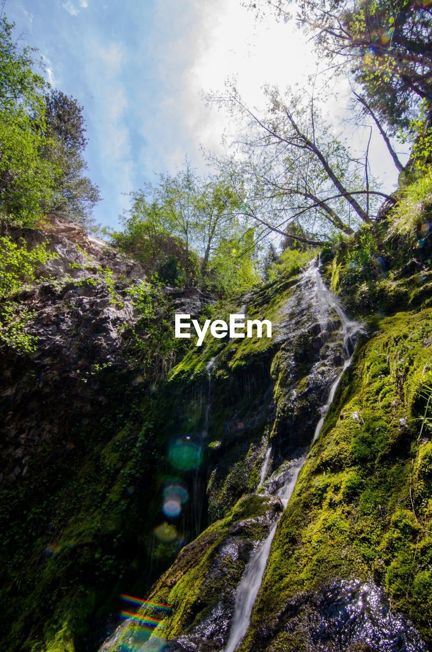 LOW ANGLE VIEW OF WATERFALL ALONG LUSH FOLIAGE