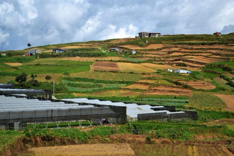 SCENIC VIEW OF RURAL LANDSCAPE AGAINST CLOUDY SKY