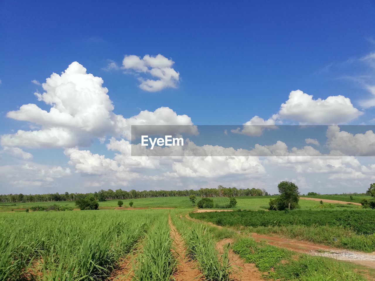 SCENIC VIEW OF FARMS AGAINST SKY