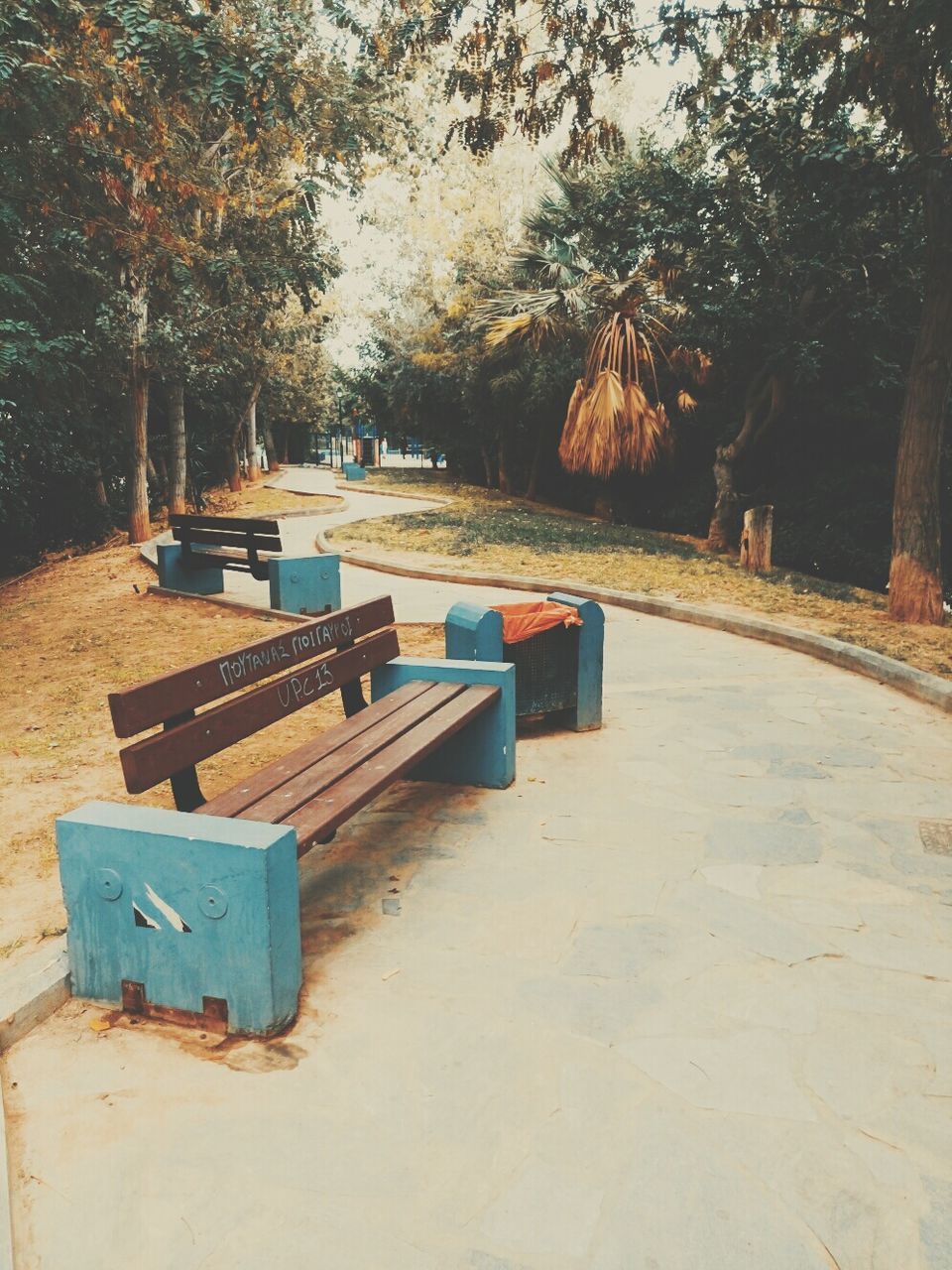 Lounge chairs and trees in park