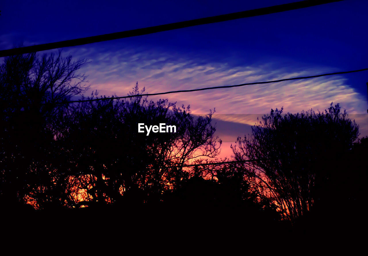 SILHOUETTE TREES AGAINST SKY DURING SUNSET