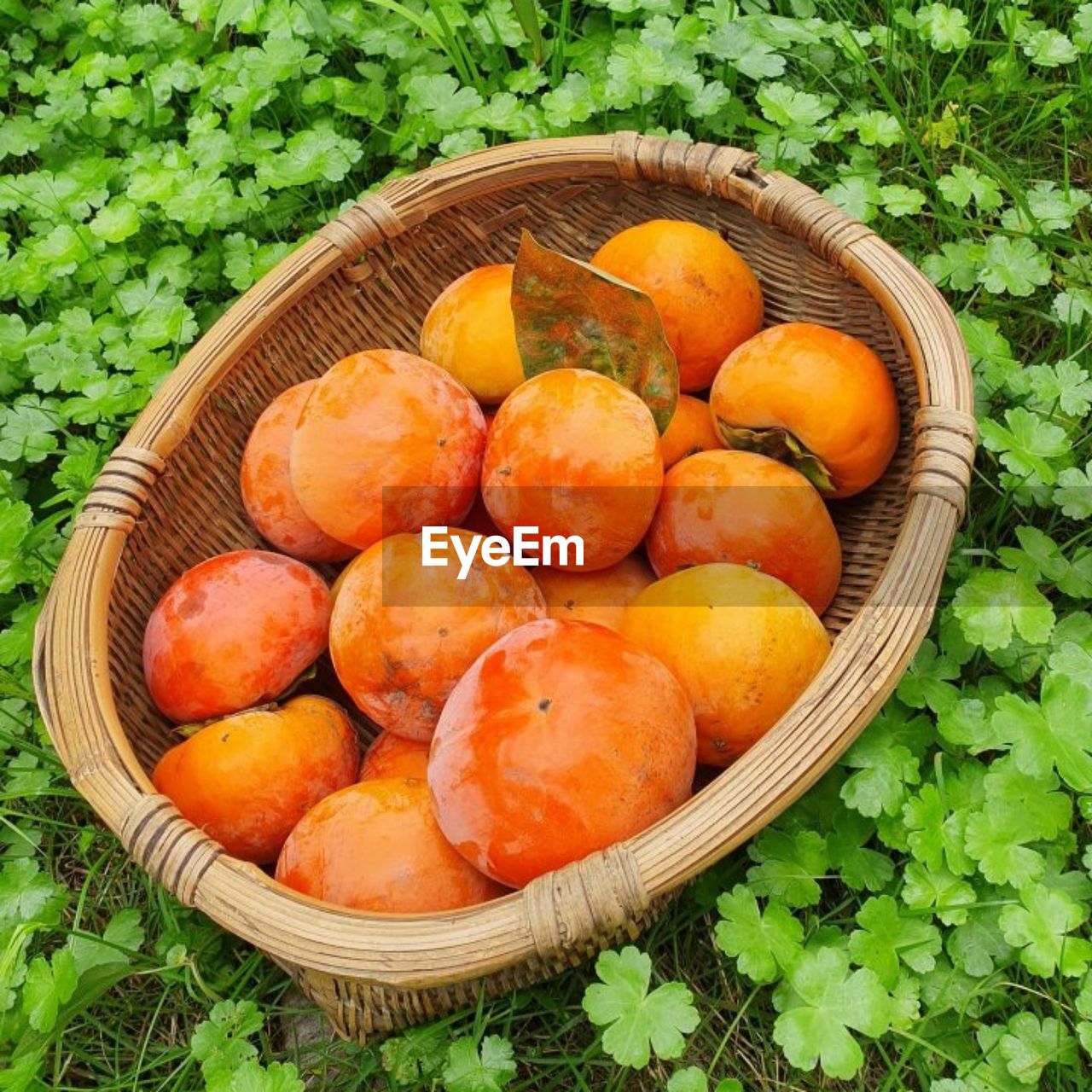 high angle view of fruits for sale in market