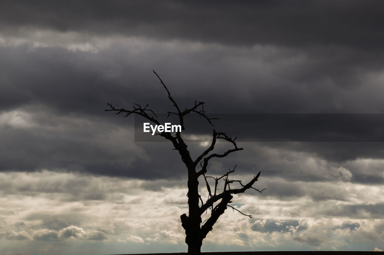 Low angle view of silhouette bare tree against storm clouds