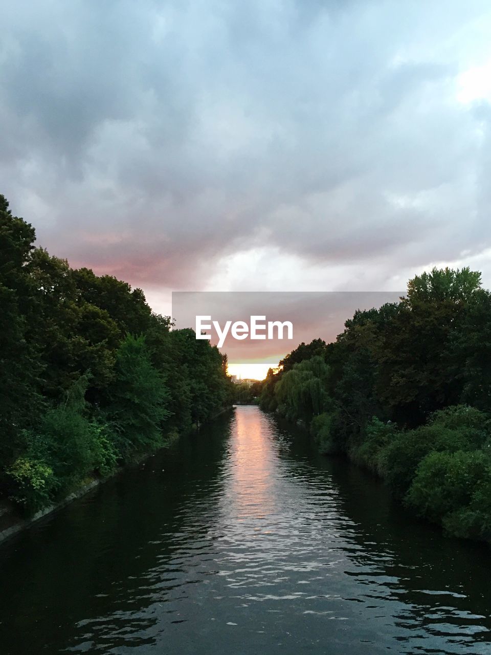 SCENIC VIEW OF RIVER AMIDST TREES AGAINST SKY