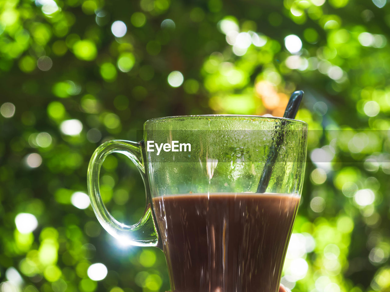 Close-up of drink in cup against trees
