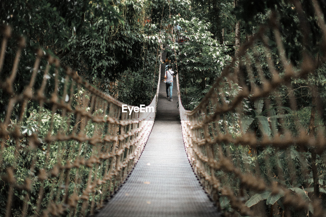 Footbridge amidst trees in forest