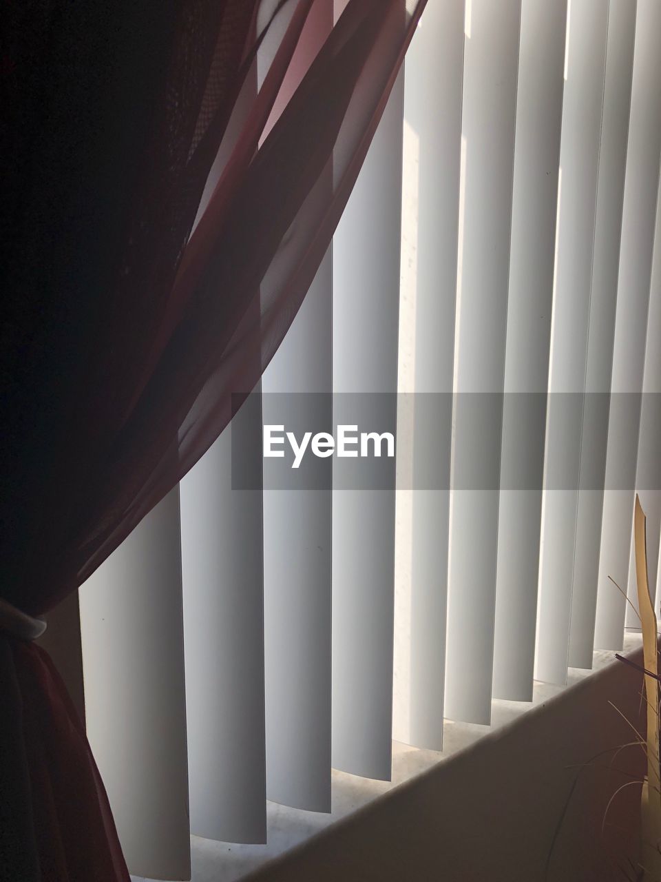 Blinds on window at home