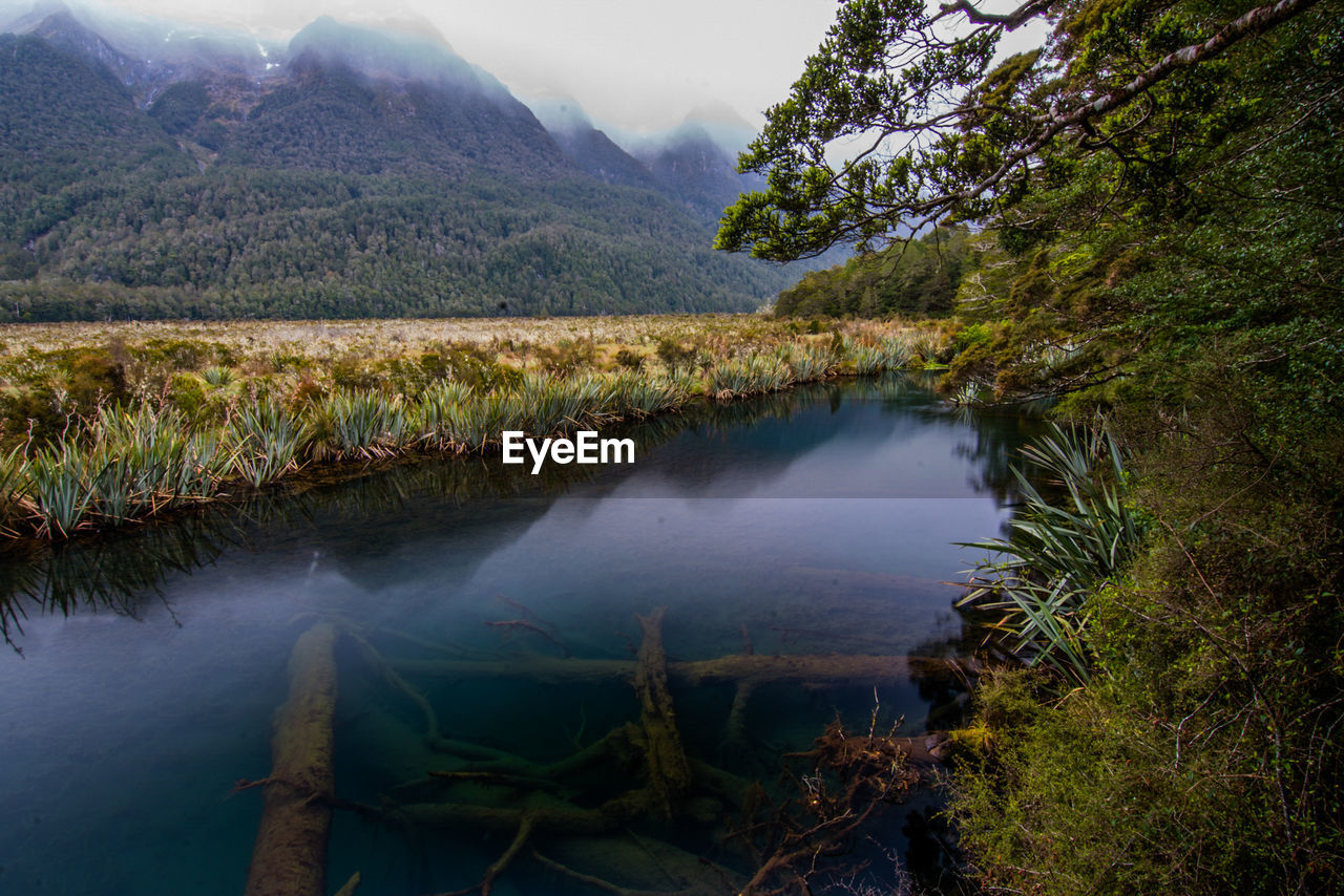 Scenic view of lake by trees against sky