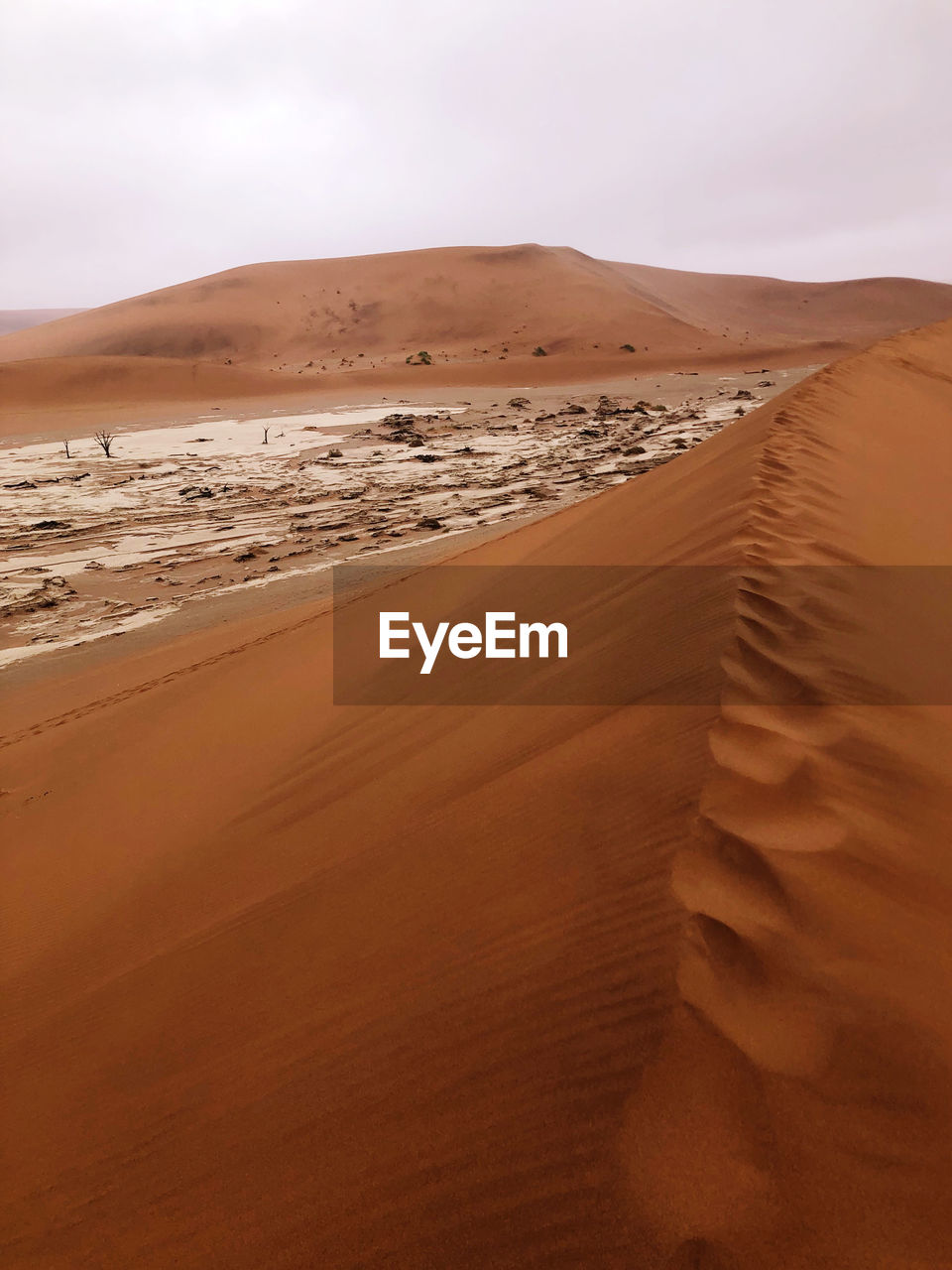 Scenic view of desert against sky