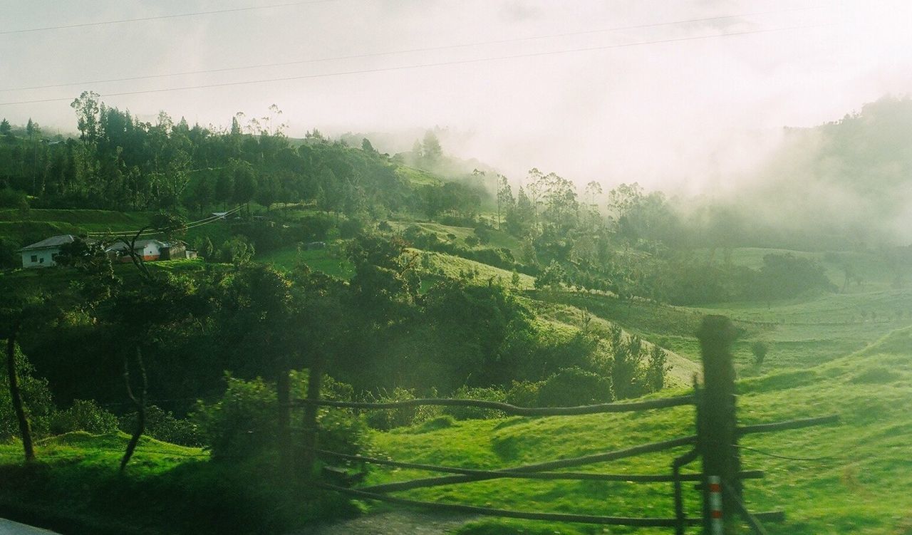 SCENIC VIEW OF FARM AGAINST SKY