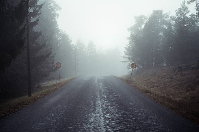 ROAD PASSING THROUGH TREES