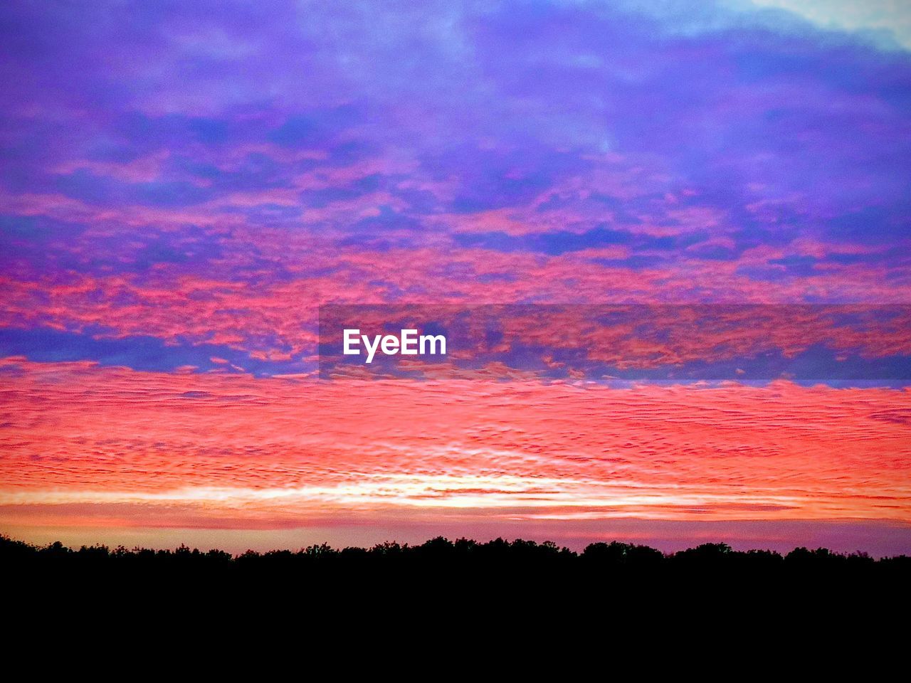 SCENIC VIEW OF DRAMATIC SKY OVER SILHOUETTE TREES