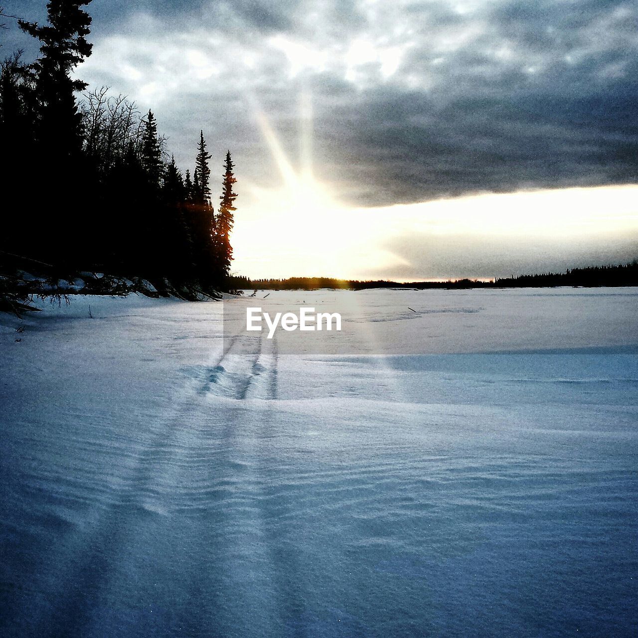 Surface level of snow covered landscape