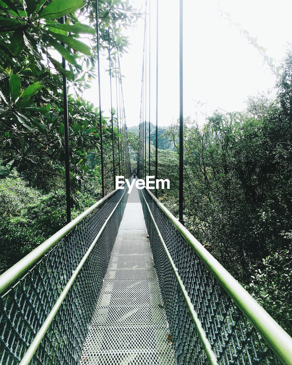 Footbridge in forest against sky