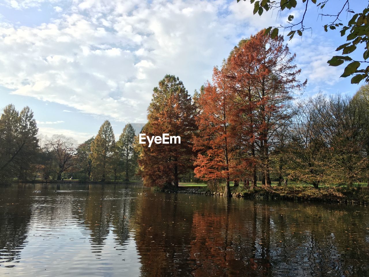REFLECTION OF TREES IN LAKE AGAINST SKY