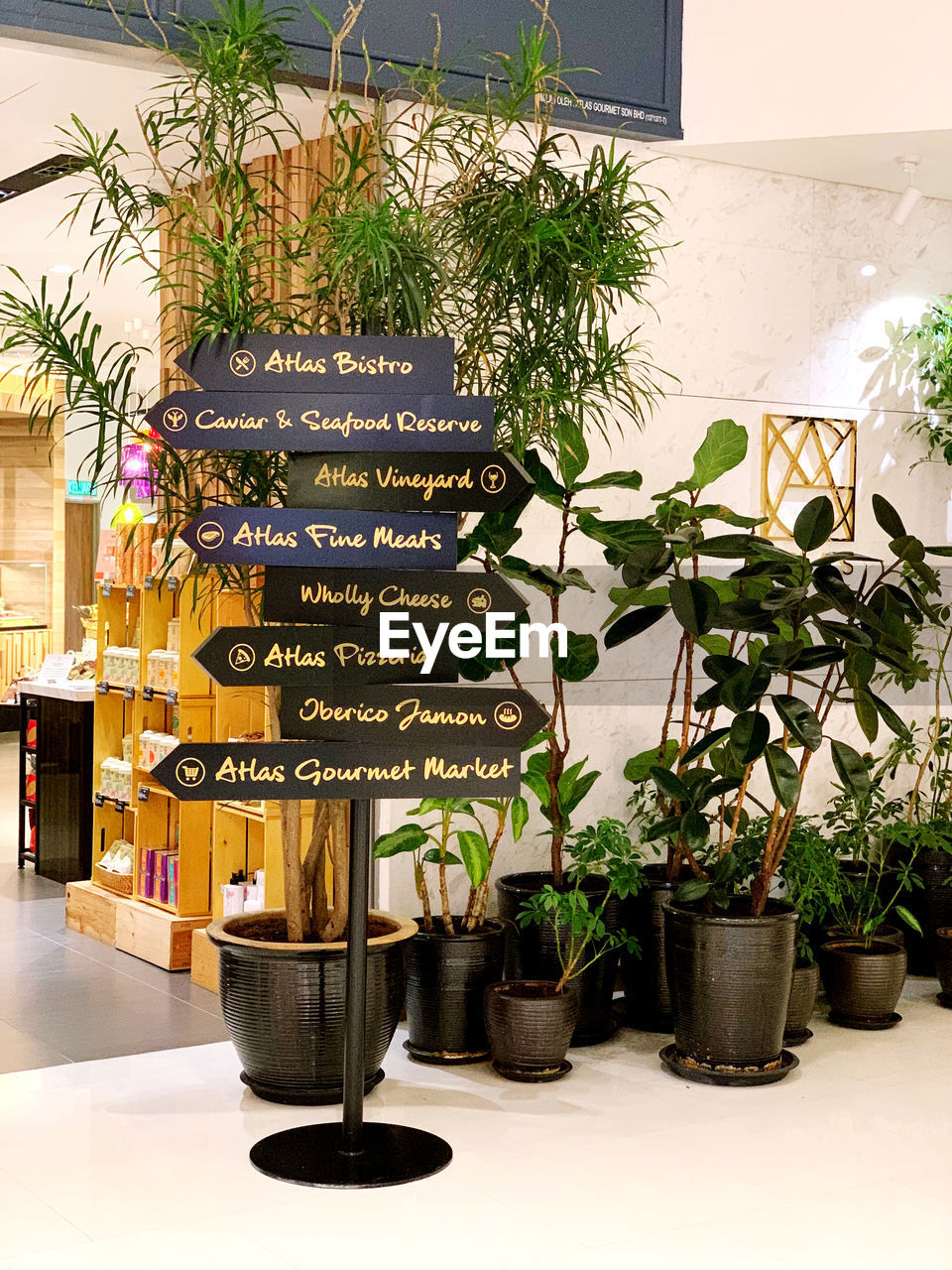 POTTED PLANTS AND TEXT ON WALL