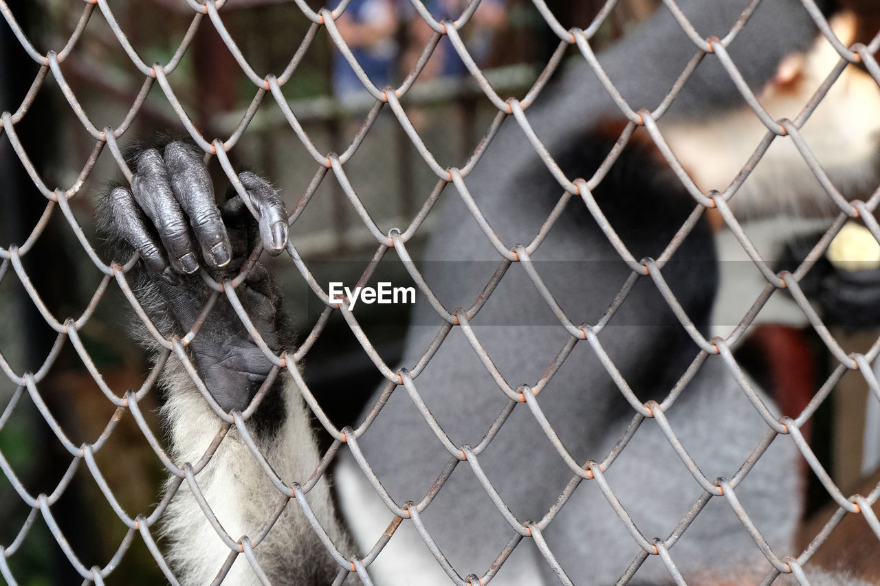 FULL FRAME SHOT OF CHAINLINK FENCE SEEN THROUGH METAL WIRE