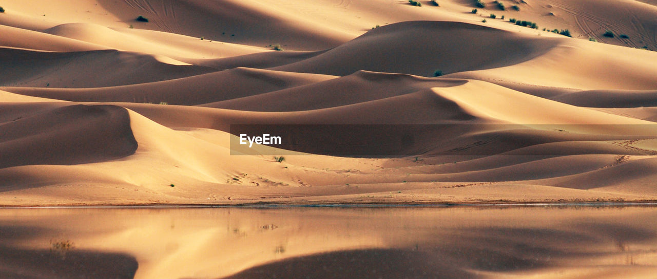 Aerial view of sand dunes in desert