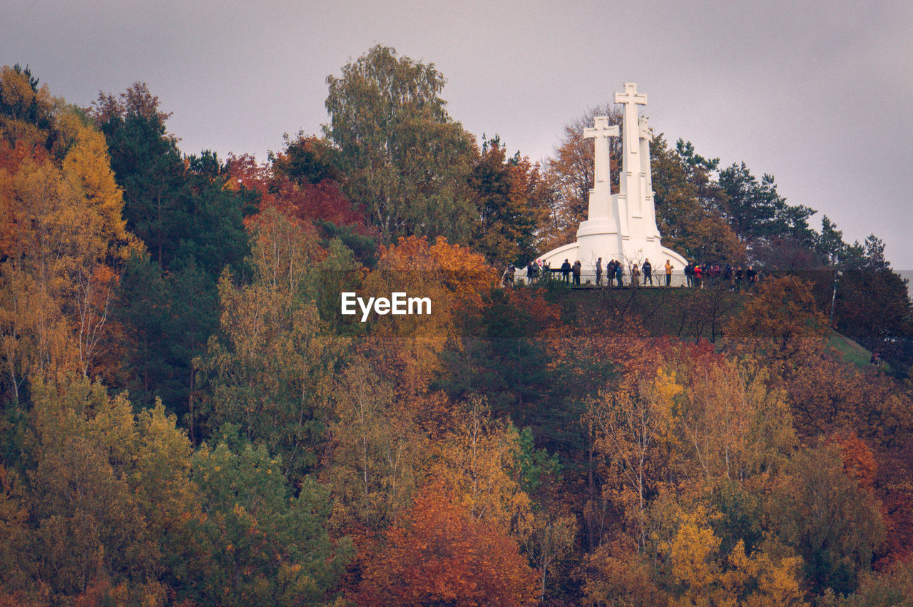 Trees and plants against sky during autumn