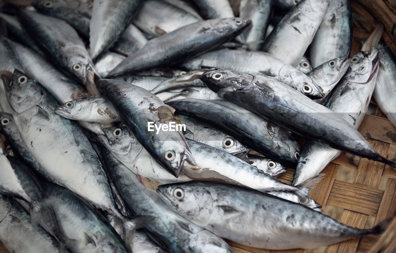 High angle view of dead fish in basket