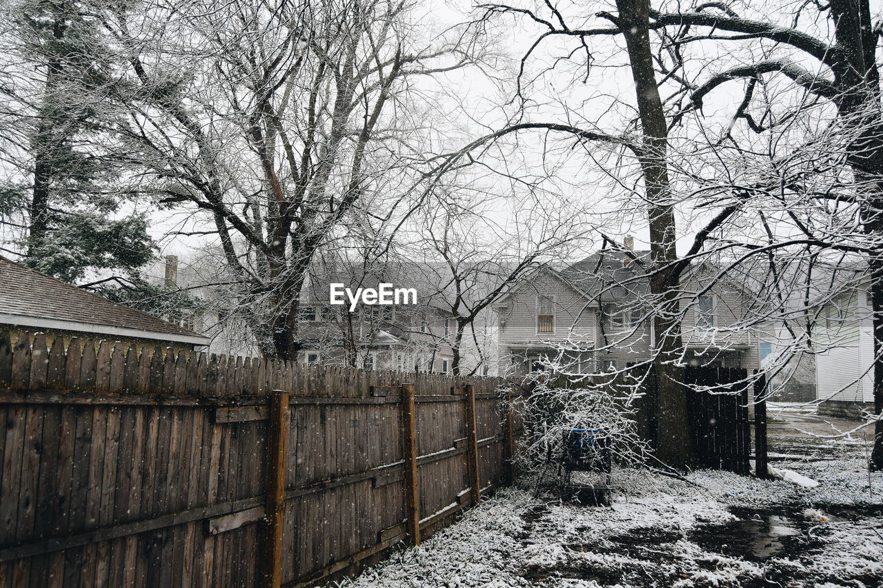 Bare trees by wooden fence during snowfall