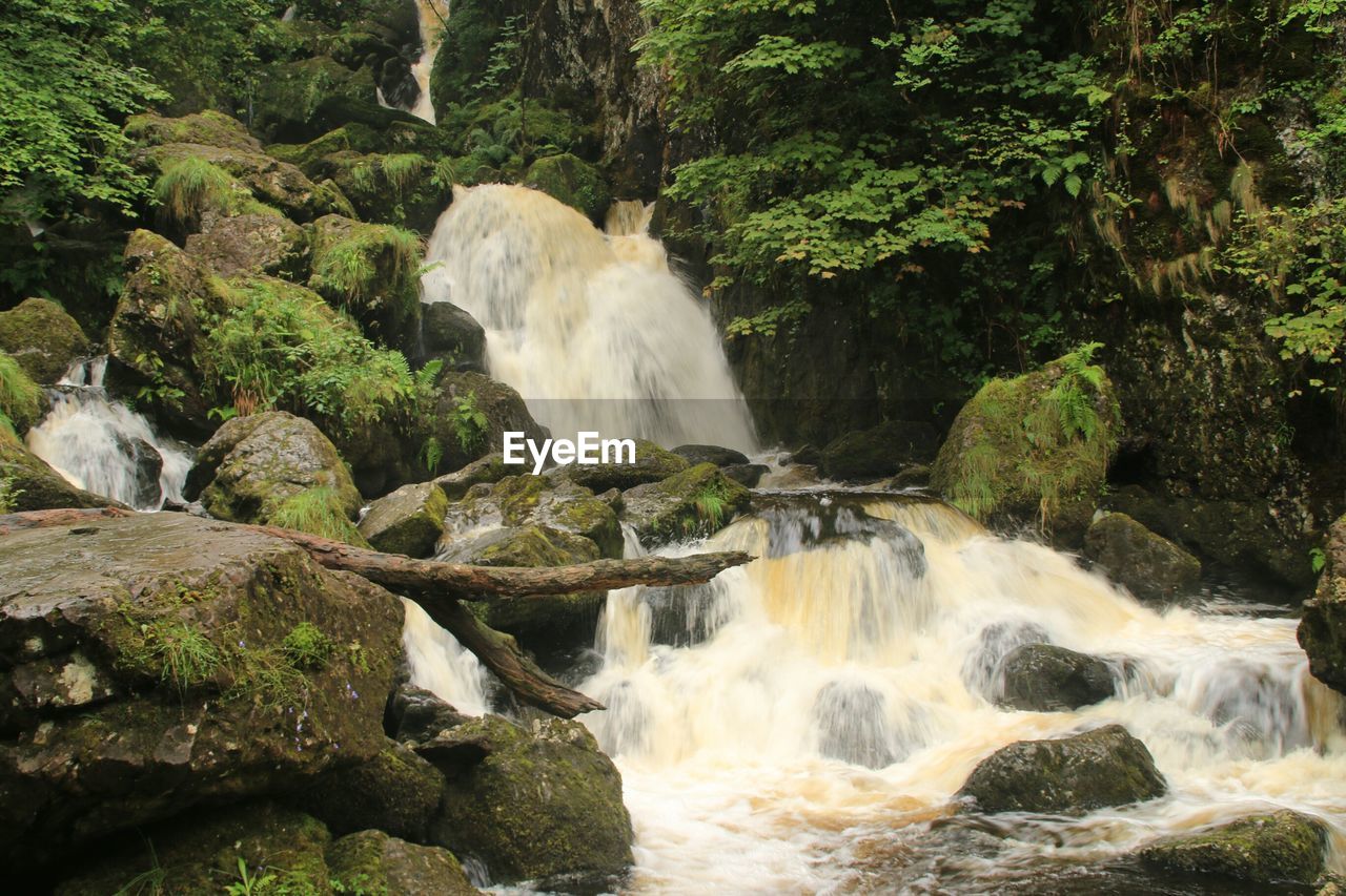 Water cascading through stones in forest