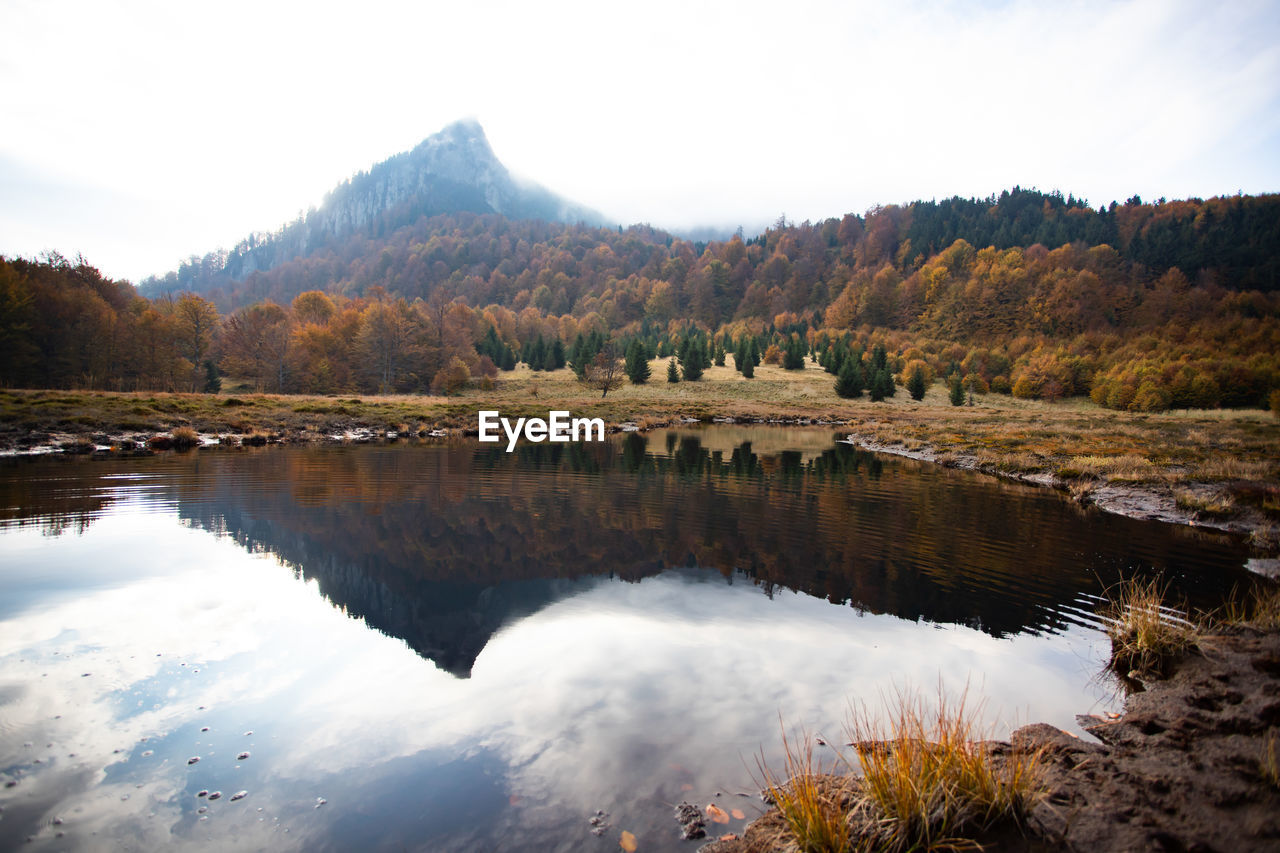 REFLECTION OF TREES IN LAKE AGAINST SKY