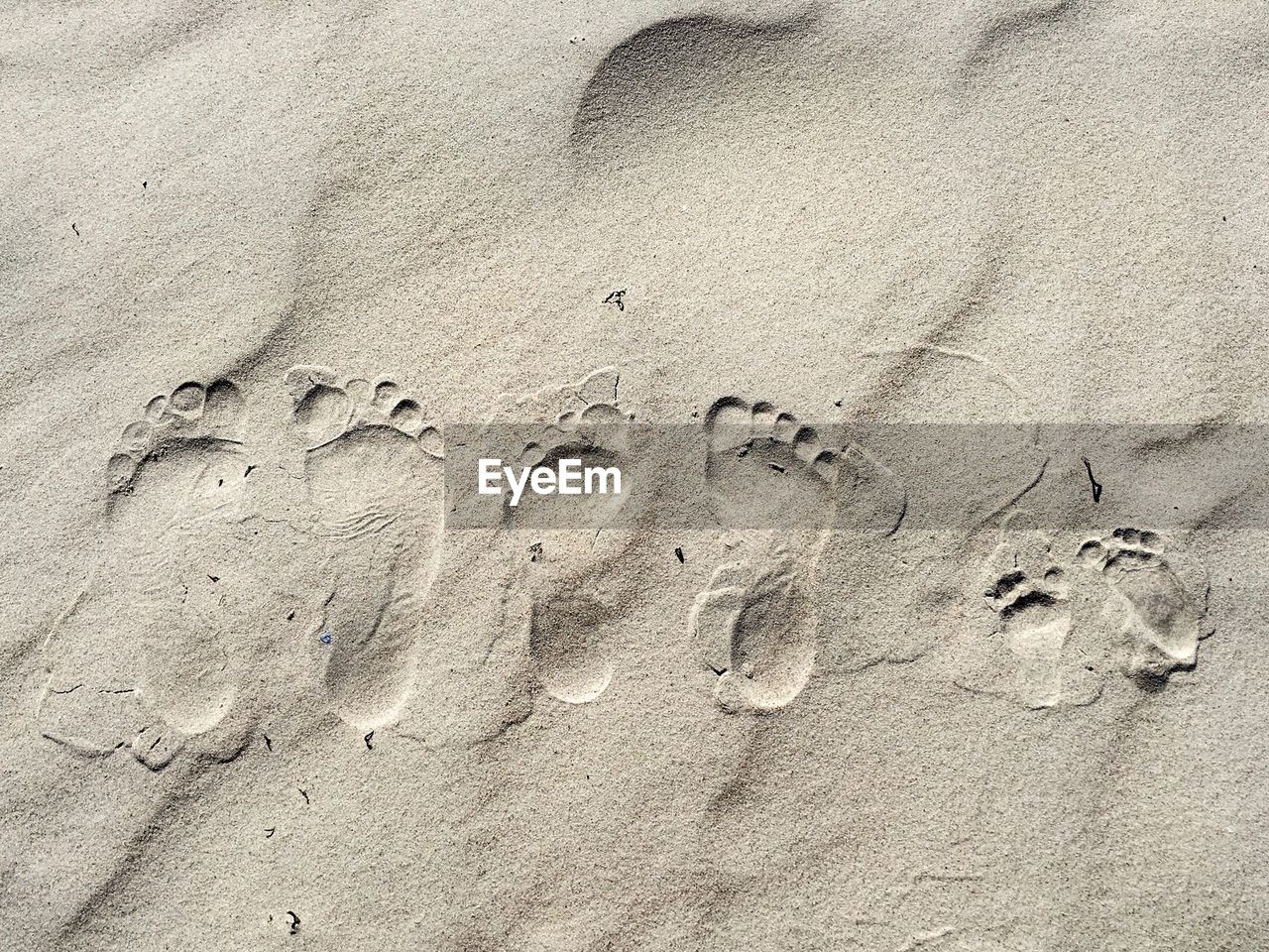 High angle view of footprints on sand at beach