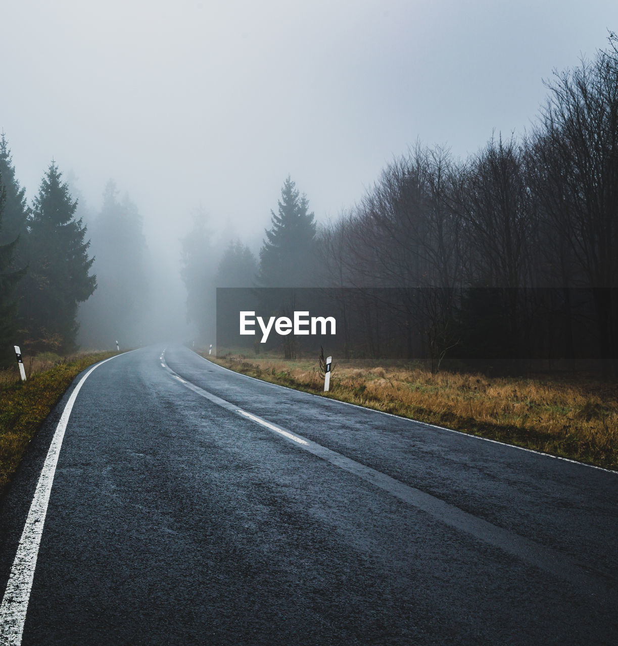 Empty road amidst trees against sky