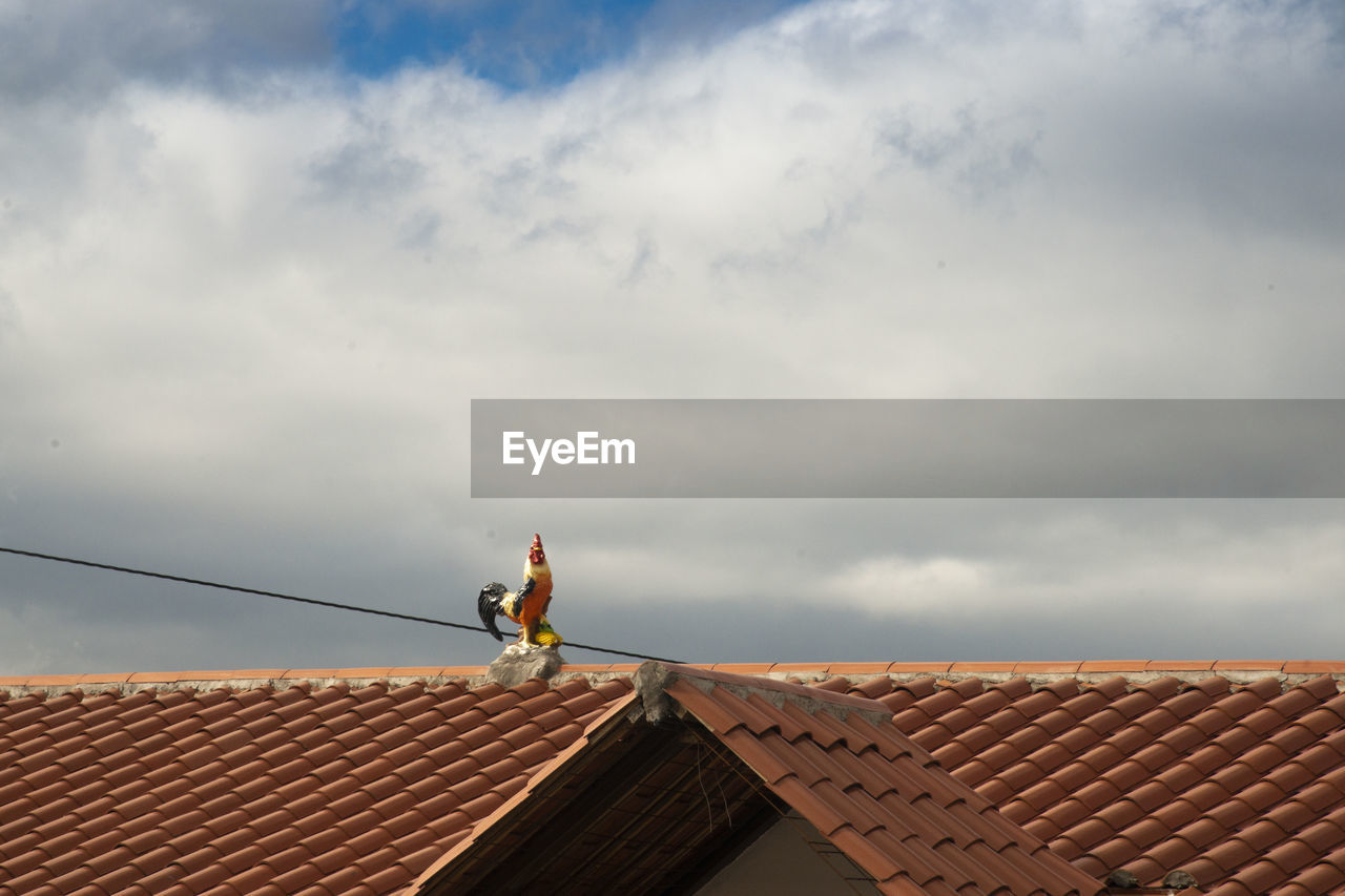 Low angle view of man working on roof of building