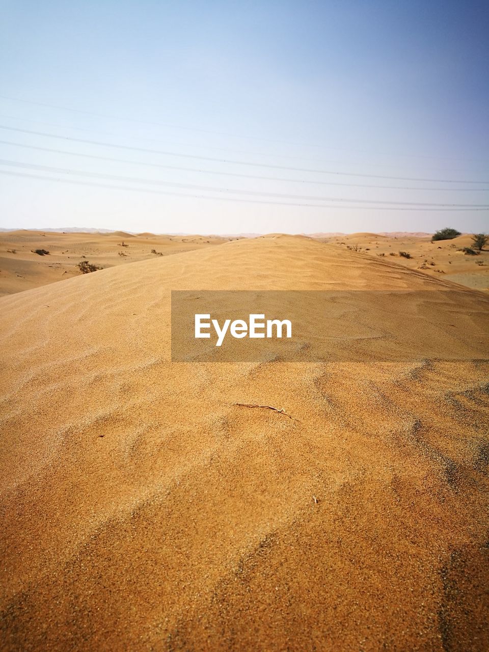 Scenic view of field against clear sky