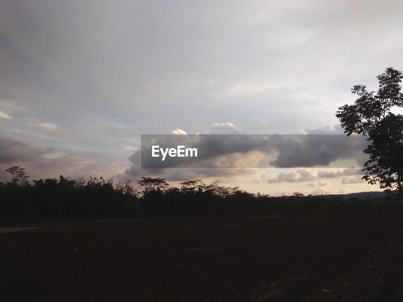 SCENIC VIEW OF SILHOUETTE TREES ON FIELD AGAINST SKY