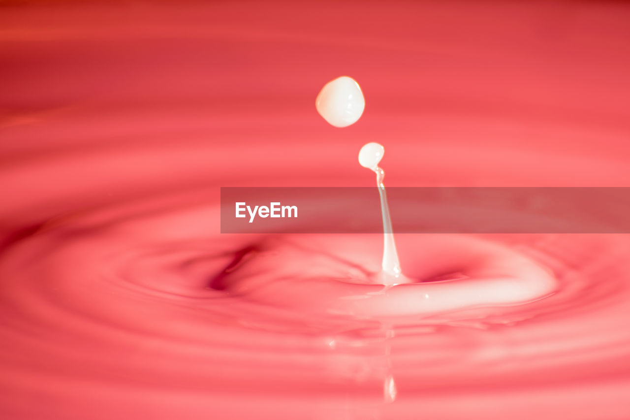 Close-up of pink splashing liquid