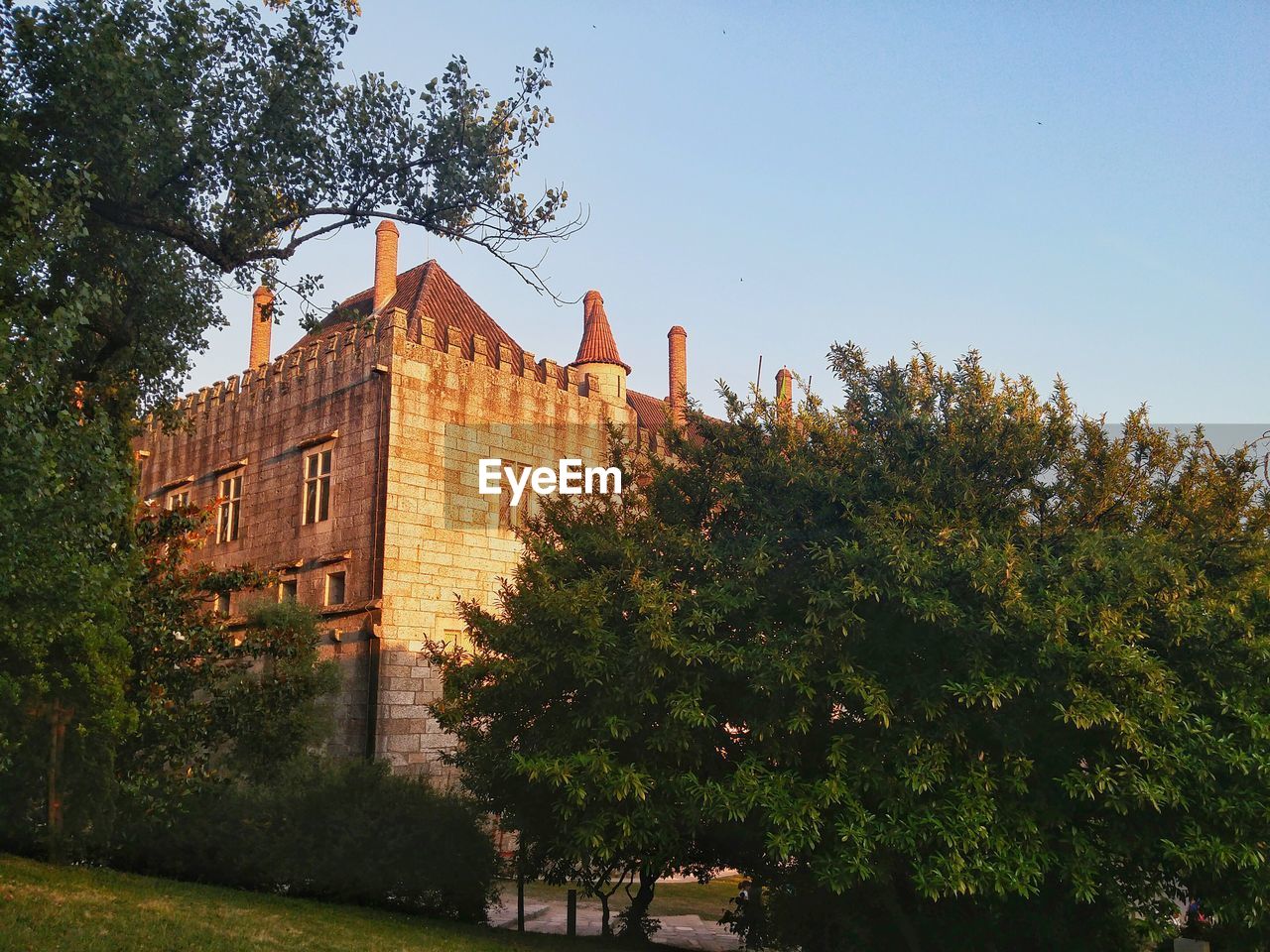 BUILDINGS AGAINST CLEAR BLUE SKY WITH TREES IN FOREGROUND