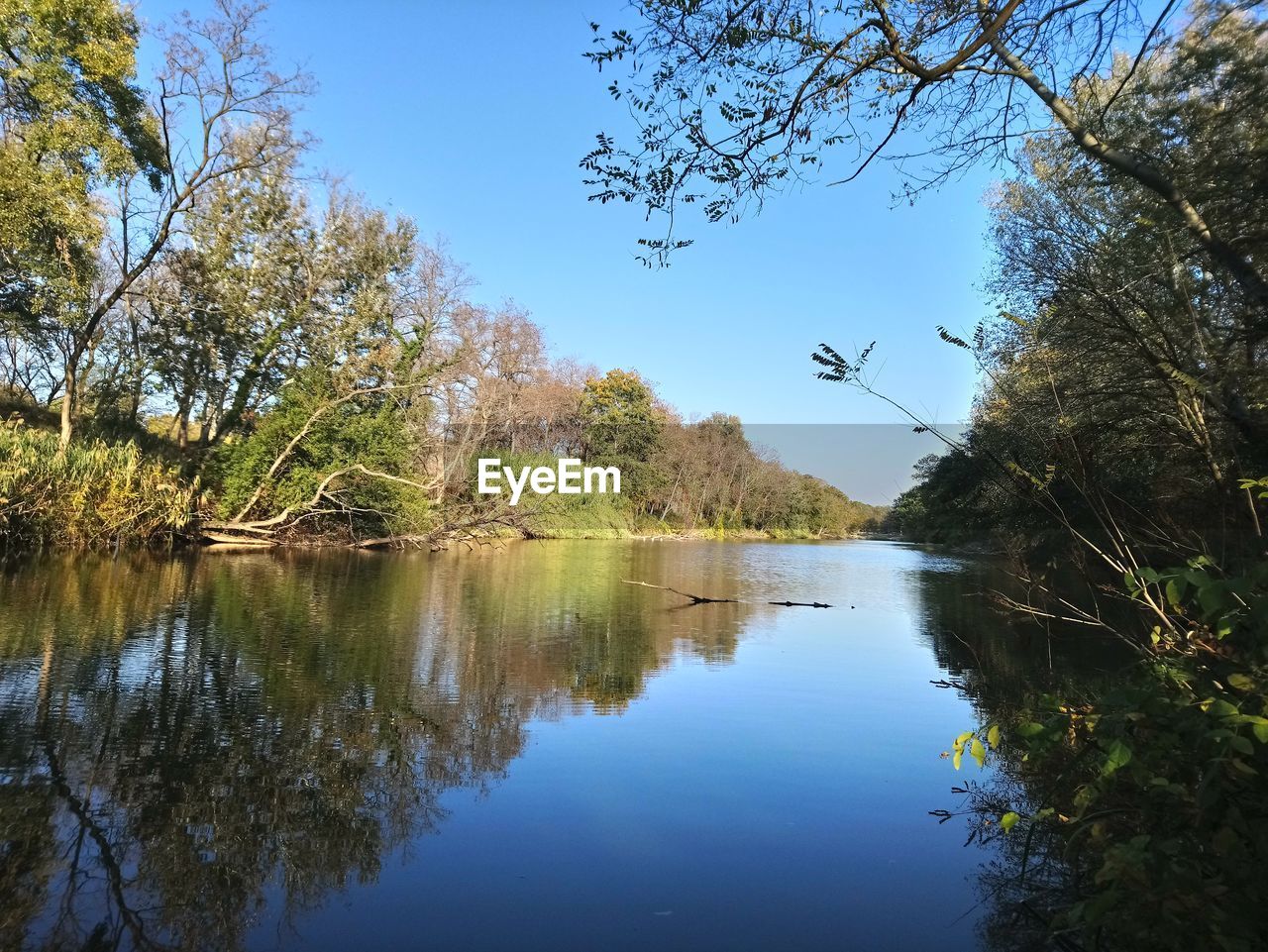 Scenic view of lake and trees against clear sky