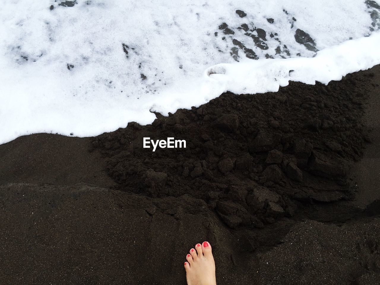 Low section of woman on shore