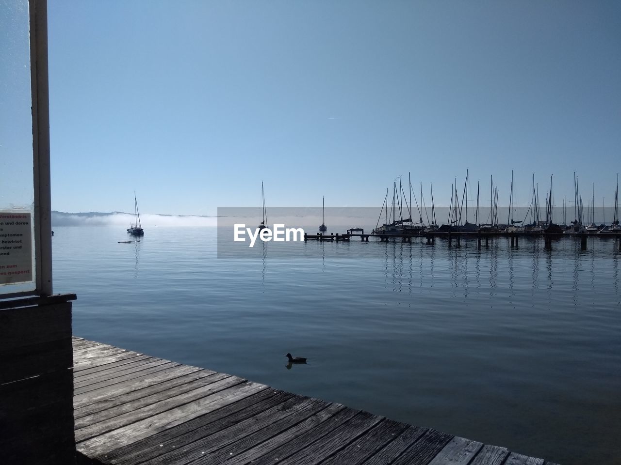 water, dock, nautical vessel, sea, sky, pier, transportation, nature, marina, wood, tranquility, sailboat, harbor, beauty in nature, clear sky, reflection, boat, ship, tranquil scene, mode of transportation, no people, scenics - nature, shore, horizon, day, jetty, ocean, pole, outdoors, blue, vehicle, travel, bay, animal, sunlight, travel destinations, animal themes, environment, bird, coast, sunny, architecture, animal wildlife, moored, idyllic, non-urban scene, beach, copy space, landscape, watercraft, wildlife, seascape, mast, sailing